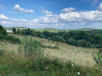 Excursión Senderismo Alligny-en-Morvan - Jarnoy chemin du tortillard.  - Photo