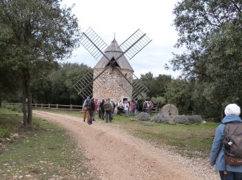 Trail Walking La Capelle-et-Masmolène - Masmolène et l'étang de la Capelle - Photo