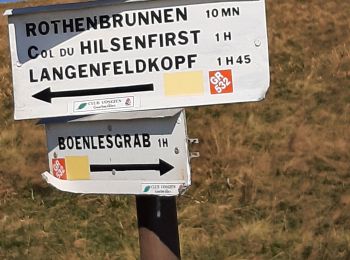 Trail Walking Wasserbourg - 68 - Boelensgrab - Petit Ballon - Photo