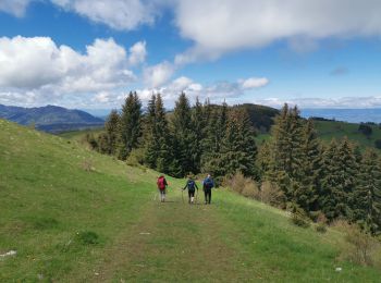 Tour Wandern Bernex - Tour du Mont César - Photo