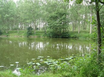 Randonnée A pied Kruibeke - Barbierbeekroute - Photo