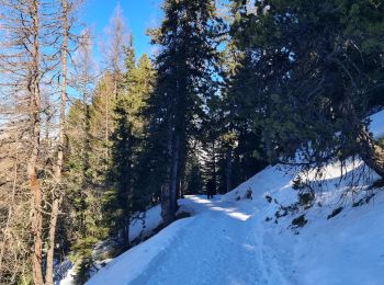 Trail Touring skiing La Plagne-Tarentaise - La Plagne 1800, Aime La Plagne, Plagne Soleil  - Photo