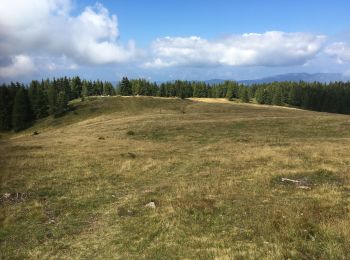 Tour Wandern Valfloriana - Sass - Photo