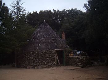 Tocht Te voet Ulìana/Oliena - (SI Z15) Monte Maccione - Sa Sinepida - Photo