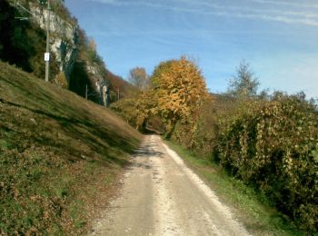 Trail On foot Sinzing - W 31 Bruckdorf - Rosengarten (Grünes Rechteck) - Photo