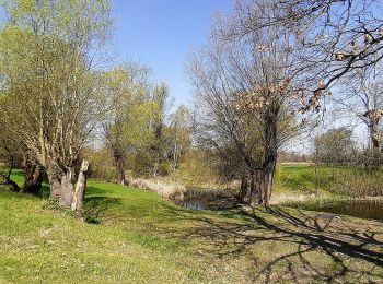 Excursión A pie Olomouc - Naučná stezka Kol-kolem Olomouce - Photo