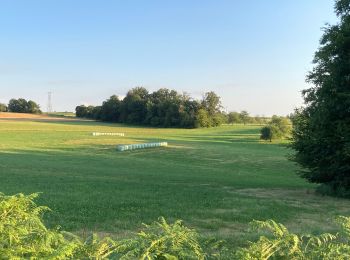 Tour Reiten Fougerolles-Saint-Valbert - Étang des prêtres circuit 2h - Photo