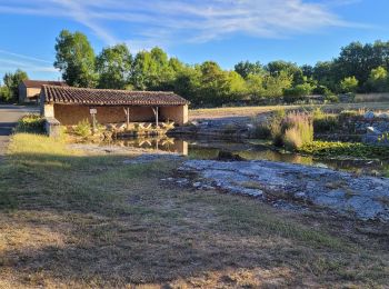 Excursión Bici de montaña Varaire - 9 - Varaire : Escabasse - Photo