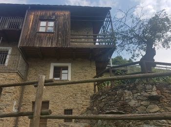 Tour Zu Fuß Tiran - (SI D30N) Madonna di Tirano - Alpe Salina - Photo