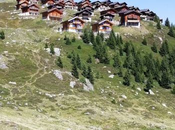 Trail Walking Naters - De Belalp à Nessel par le bisse de Nessjeri - Photo
