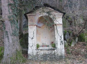 Tour Zu Fuß Urnafasch - A21 - Punta di Migiandone - Cima Tre Croci - Photo