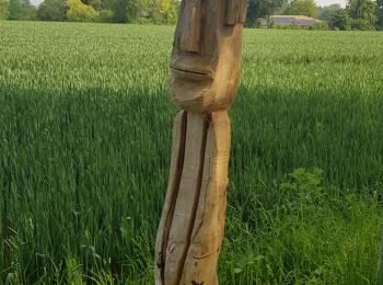 Percorso Marcia Ottignies-Louvain-la-Neuve - Sentier Sculpteur_0621 - Photo