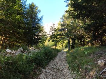 Excursión Senderismo Gresse-en-Vercors - Le Grand-Veymont  - Photo