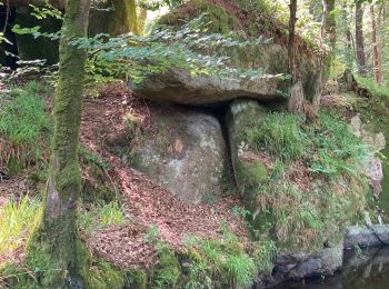 Tocht Stappen Huelgoat - Bretagne - Photo