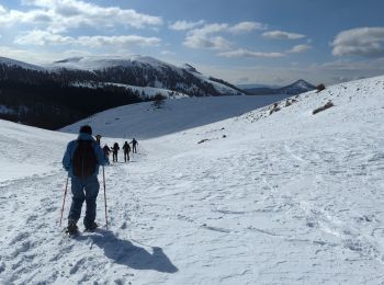 Tocht Sneeuwschoenen Roubion - col de la Couillon - Tournerie - Photo