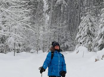 Tocht Sneeuwschoenen Lenzkirch - raquette - Photo