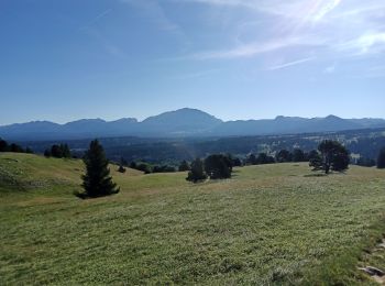 Excursión Senderismo Gresse-en-Vercors - traversée Sud nord du Grand Veymont  - Photo