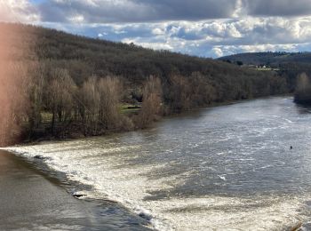 Randonnée Marche Saint-Géry-Vers - Nouaillac les bois noirs  - Photo