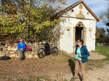 Randonnée Vélo électrique Soultz-Haut-Rhin - Florival  - Photo