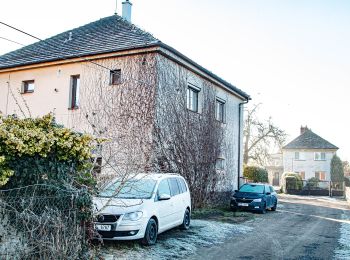 Tour Zu Fuß Bukovka - NS Pernštejnskými rybníky - Photo