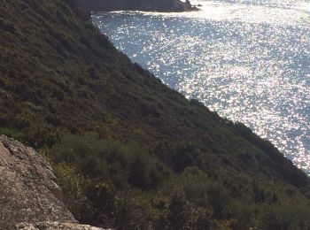 Excursión Senderismo Ajaccio - Ajaccio pointe de parata  - Photo