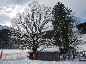 Excursión A pie Oberstdorf - B - Winterwanderung ins Stillachtal - Photo