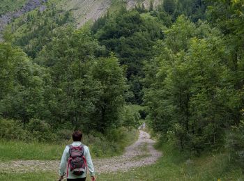 Trail Walking Champoléon - refuge du Tourond et cascade de la pisse - Photo