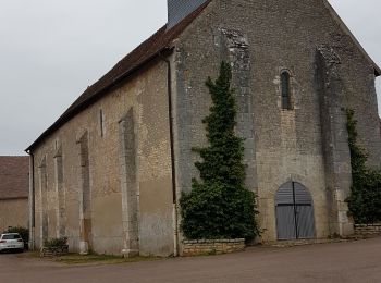 Excursión Senderismo Narcy - le chemin des 3 Moulins - Photo