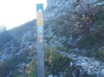 Tocht Stappen Le Gua - Traversée  du Ranc des Agnelons - Photo