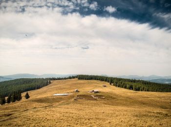 Percorso A piedi  - Rusca – Cabana Giumalău – localitatea Valea Putnei (yellow stripe) - Photo