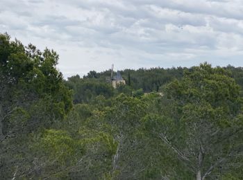 Tour Wandern Fontvieille - Fontvieille - Photo