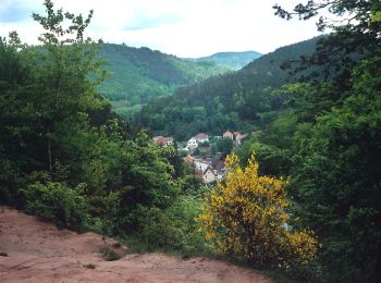 Randonnée A pied Hinterweidenthal - Hinterweidenthaler Teufelstisch-Tour - Photo