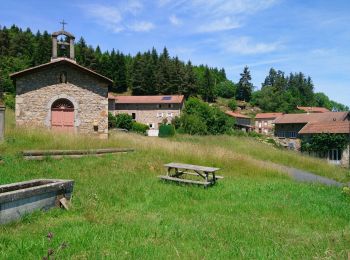 Tour Wandern Sauvessanges - Sauvesannelles  - Photo