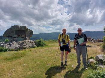 Trail Walking Hinterzarten - Alsbach - Photo