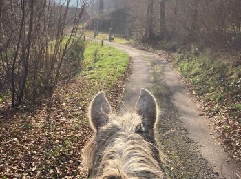 Tour Reiten Ban-sur-Meurthe-Clefcy - Chez Delphine yoigo  - Photo