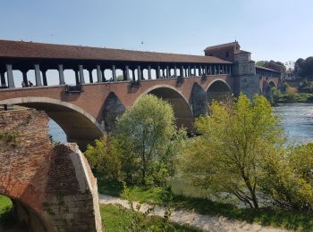 Excursión Senderismo Gropello Cairoli - CR_Francigena_BD_15_Gropello-Cairoli_Pavie_20190912 - Photo