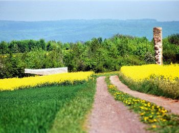 Tour Zu Fuß Merzig - Promenade Circulaire de Waldwisse - Photo