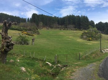 Tour Auto Coux - Col de l’Escrinet, St-Michel les Boulogne   - Photo