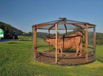 Percorso A piedi Gemeinde Prigglitz - Gahnshauswiese - Obertal - Photo