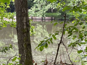 Excursión Senderismo Renwez - Parc naturel régional des Ardennes - Photo