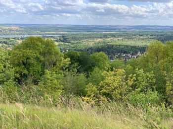 Trail Walking Haute-Isle - cherence vetheuil  - Photo