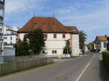 Tour Zu Fuß Einsiedeln - Einsiedler Herbschtfäscht - Photo