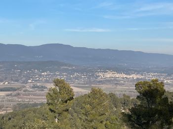 Excursión Senderismo La Roque-d'Anthéron - PF-La-Roque-d'Anthéron - La Chaîne des Côtes - Reco - Photo