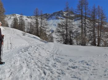 Excursión Raquetas de nieve Allos - lac d'Allos - Photo