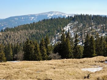 Tocht Te voet Gemeinde Spital am Semmering - Steinhaus - Kampalpe - Photo