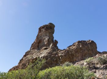 Tocht Te voet San Bartolomé de Tirajana - SLCC Chira - Cruz Grande - Photo