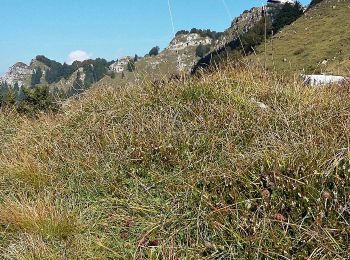 Trail On foot Posina - Fusine - Boalòn del Novegno - Photo