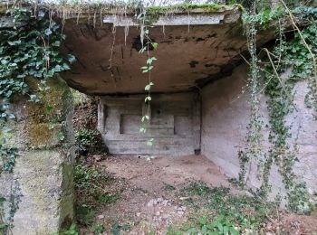 Randonnée Marche Vieux-Moulin -  Vieux Moulin - Haut d'Ercet - Senones- Vieux-Moulin - Photo