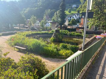 Tour Wandern Ottenhöfen im Schwarzwald - Karlsruher Gray - Photo