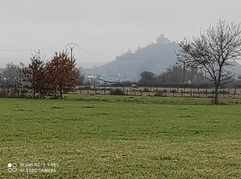 Excursión Senderismo Saint-Romain-le-Puy - precieux - Photo